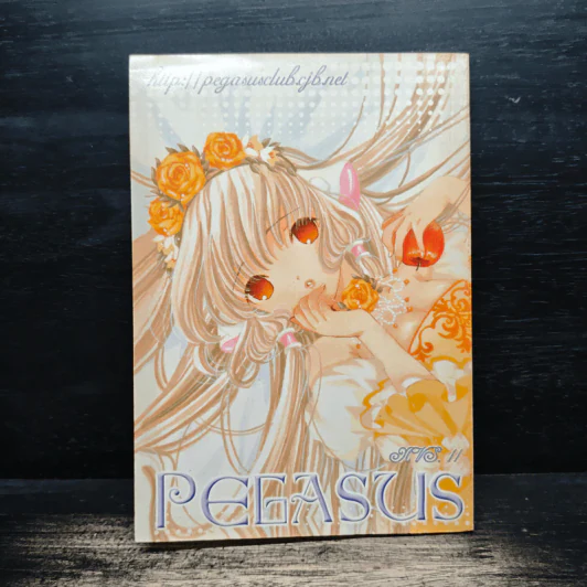 Pegasus Nvs.11 รูปที่ 2