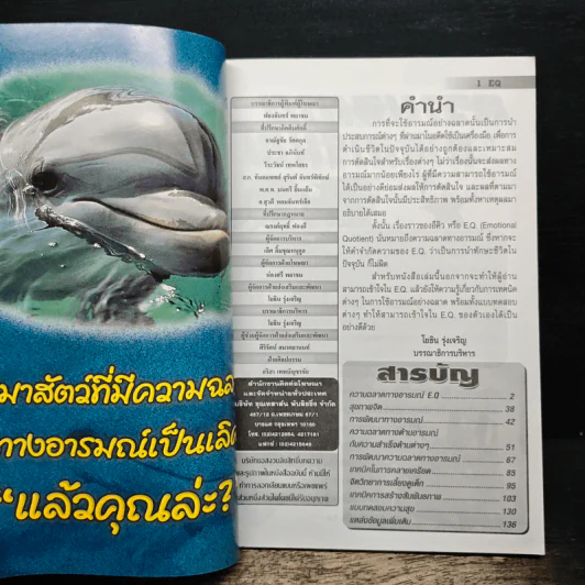 ความฉลาดทางอารมณ์ E.Q. รูปที่ 6