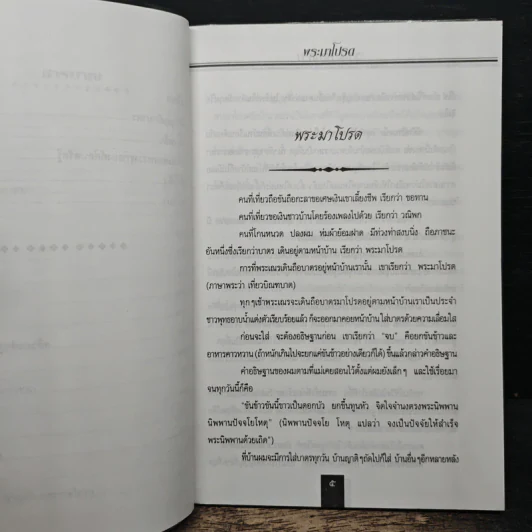 พระมาโปรด - รุจน์ มัณทิรา รูปที่ 8