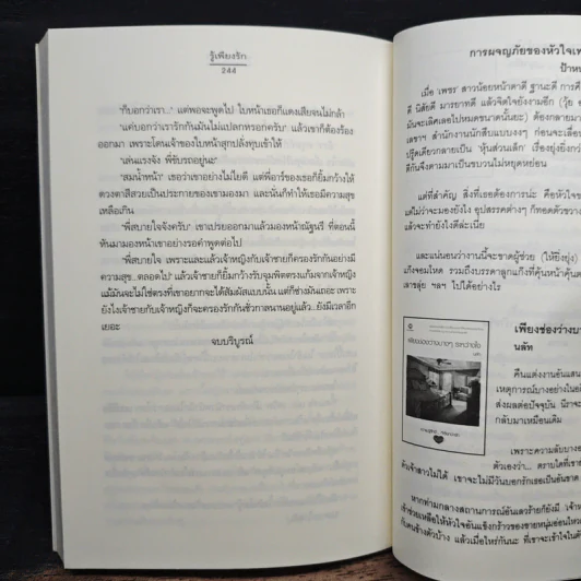 รู้เพียงรัก - เมเปิ้ลสีขาว รูปที่ 8