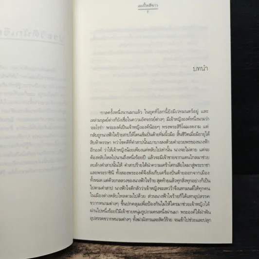 รู้เพียงรัก - เมเปิ้ลสีขาว รูปที่ 7