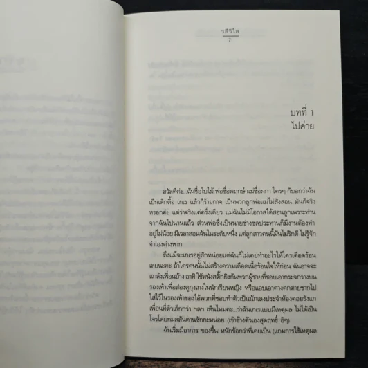 นางสาวใบไม้กับนายก้อนหิน - วลีวิไล รูปที่ 7