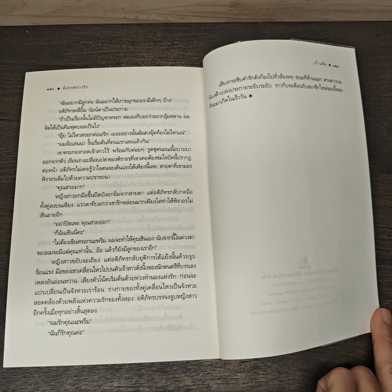 มังกรพรางรัก - เก้าแต้ม รูปที่ 8