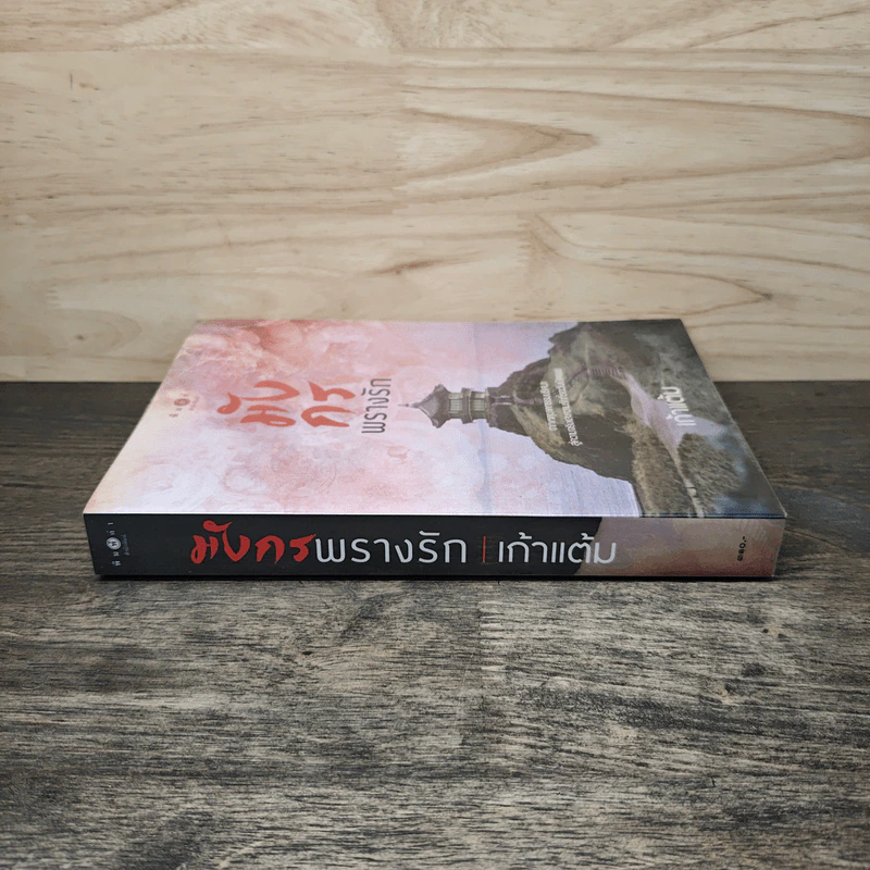 มังกรพรางรัก - เก้าแต้ม รูปที่ 2