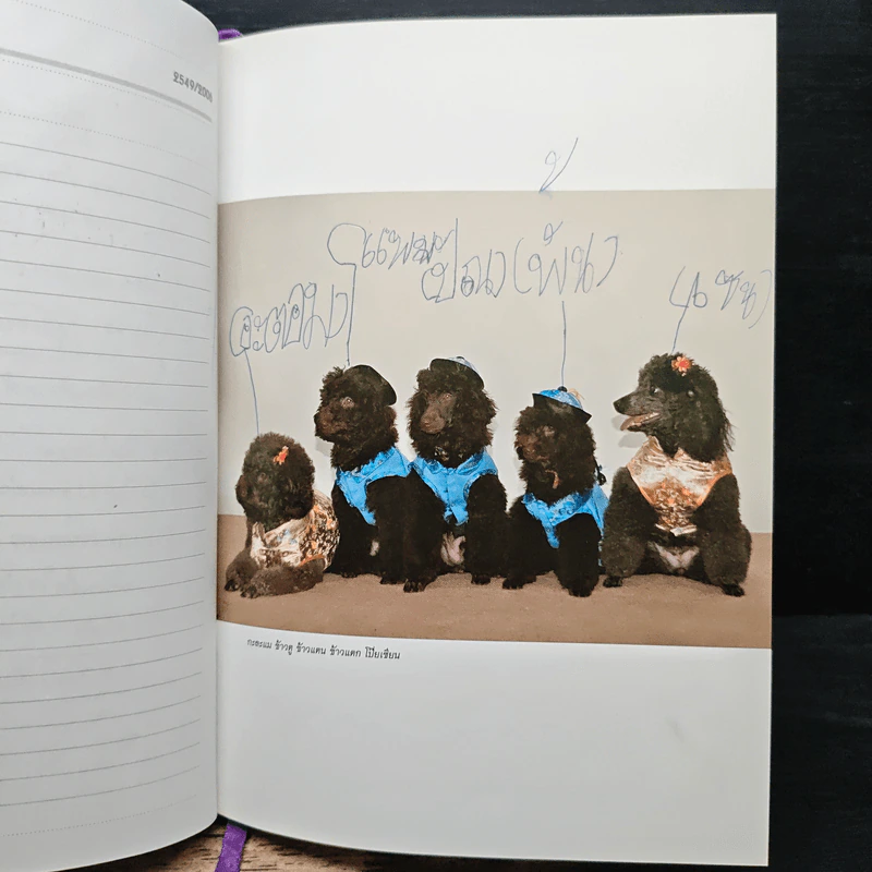 สัตว์เลี้ยงวังสระปทุม Diary 2549/2006 - สิรินธร รูปที่ 11