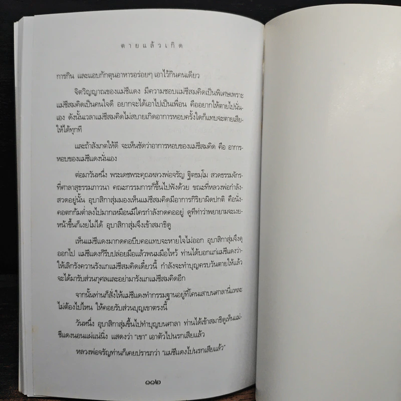 ตายแล้วเกิด - นที ลานโพธิ์ รูปที่ 9