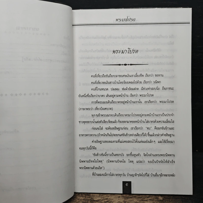 พระมาโปรด - รุจน์ มัณทิรา รูปที่ 8