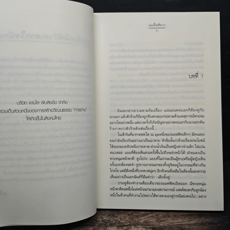 แรกเริ่มเติมรัก - เมเปิ้ลสีขาว รูปที่ 7