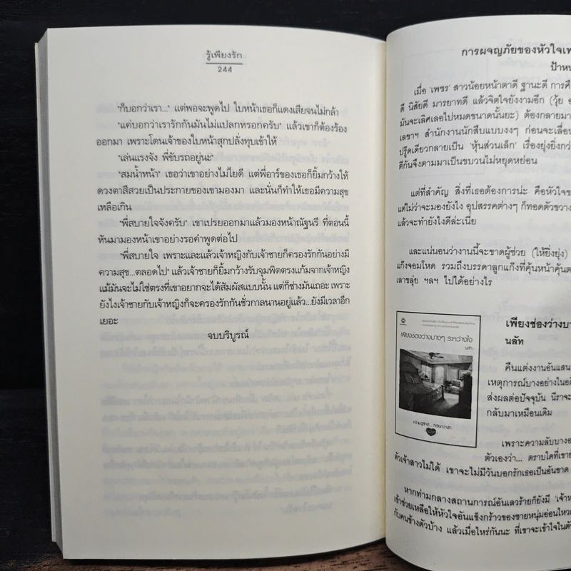รู้เพียงรัก - เมเปิ้ลสีขาว รูปที่ 8