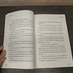 สะใภ้แสนหวาน - เตี่ยนซิน รูปที่ 7