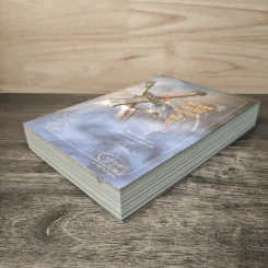 ผ่านภพบรรจบฟ้า เล่ม 2 - ปลายหญ้า รูปที่ 3