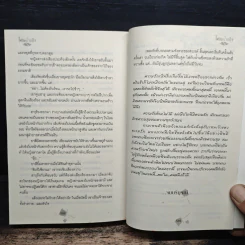 ไฟกับน้ำแข็ง - Ton-palm รูปที่ 8