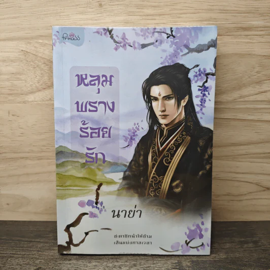 หลุมพรางร้อยรัก - นาย่า รูปที่ 1