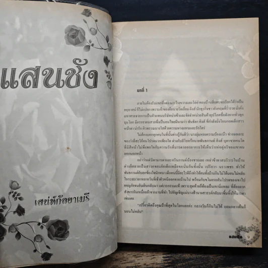 แสนชัง - เสน่ห์กัลยาเมรี รูปที่ 7