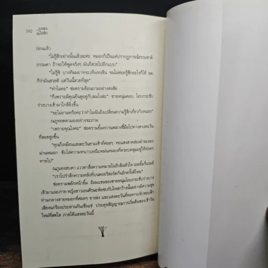 รุ่งอรุณ อุ่นไอรัก - เรซิน รูปที่ 8