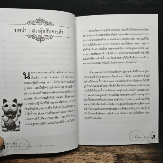 ฮวงจุ้ยค้าขายร่ำรวย หาบเร่ รถเข็น แผงลอย - ลินดา โจว รูปที่ 9