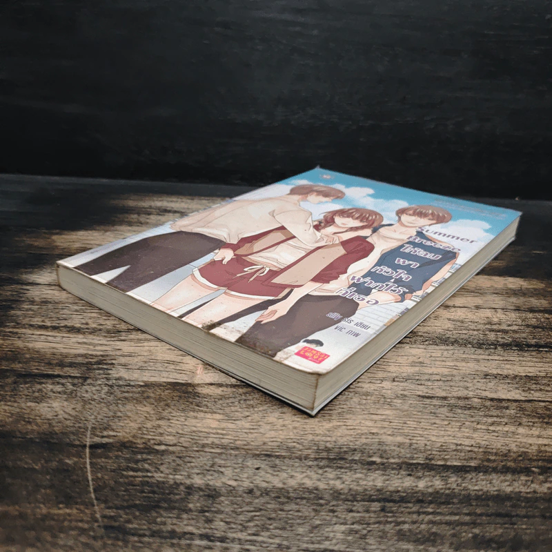 Summer Breeze ให้ลมพาหัวใจฝากไว้ที่เธอ - silly sis รูปที่ 4