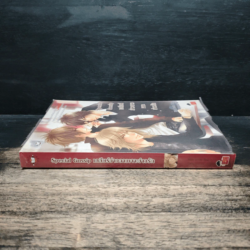 Special Gossip เคลียร์ข่าวฉาวเจาะข่าวรัก - Hideko_Sunshine, Merlin รูปที่ 3
