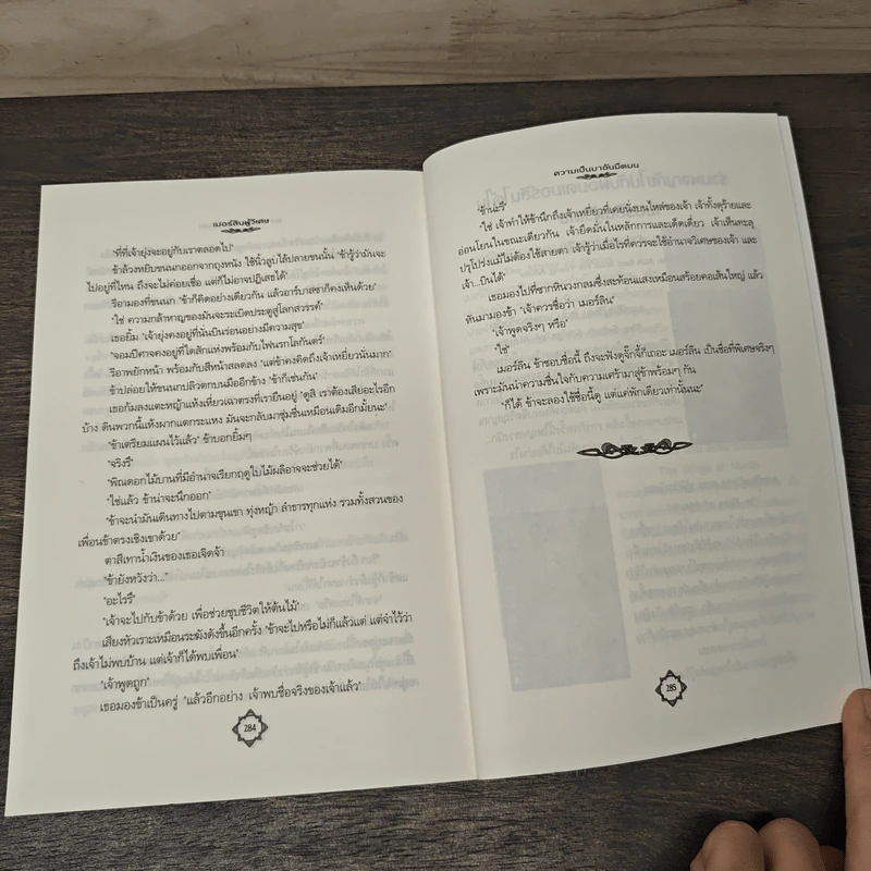 เมอร์ลินผู้วิเศษ ตอน ความเป็นมาอันมืดมน - T. A. BARRON รูปที่ 9