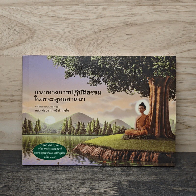 แนวทางการปฏิบัติธรรมในพระพุทธศาสนา - หลวงพ่อปราโมทย์ ปาโมชฺโช รูปที่ 1