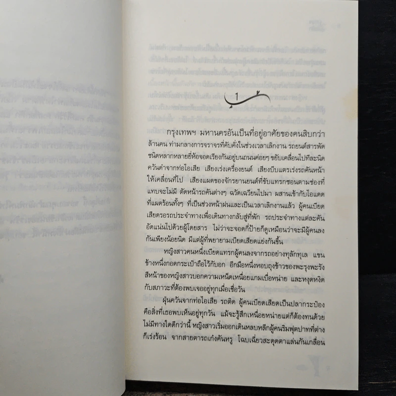 รุ่งอรุณ อุ่นไอรัก - เรซิน รูปที่ 7