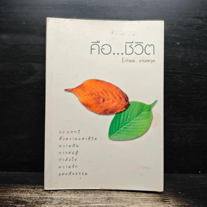 คือ...ชีวิต - กำธร เก่งสกุล รูปที่ 1