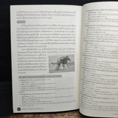 ไม่ได้อ่านอย่าซื้อทัวร์ - มิสเตอร์พาสปอร์ต รูปที่ 10