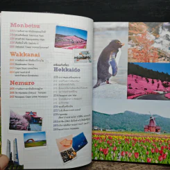 ฮอกไกโด Hokkaido คนเดียวก็เที่ยวได้ รูปที่ 10