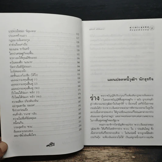 กะเทาะธุรกิจสิ้นยุคฟองสบู่ - สุนันท์ ศรีจันทรา รูปที่ 8