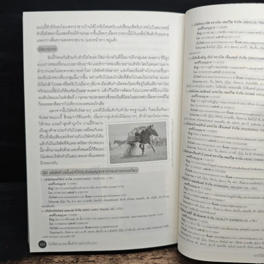 ไม่ได้อ่านอย่าซื้อทัวร์ - มิสเตอร์พาสปอร์ต รูปที่ 10