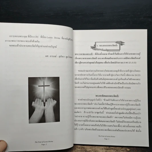 รวมบทความ ผลของ เล็กซีโอ ดีวีนา - ผศ.อารมณ์ พูลโภคผล รูปที่ 9