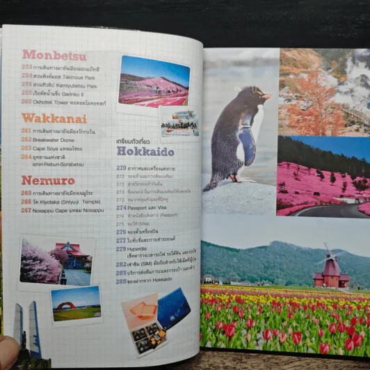 ฮอกไกโด Hokkaido คนเดียวก็เที่ยวได้ รูปที่ 10