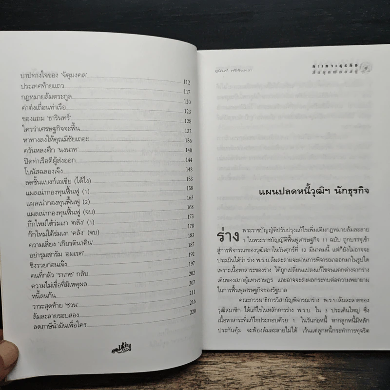 กะเทาะธุรกิจสิ้นยุคฟองสบู่ - สุนันท์ ศรีจันทรา รูปที่ 8