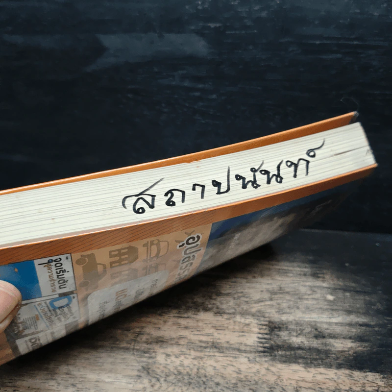 นิสัยดูดความสำเร็จ - ไม้เกาหลัง รูปที่ 11