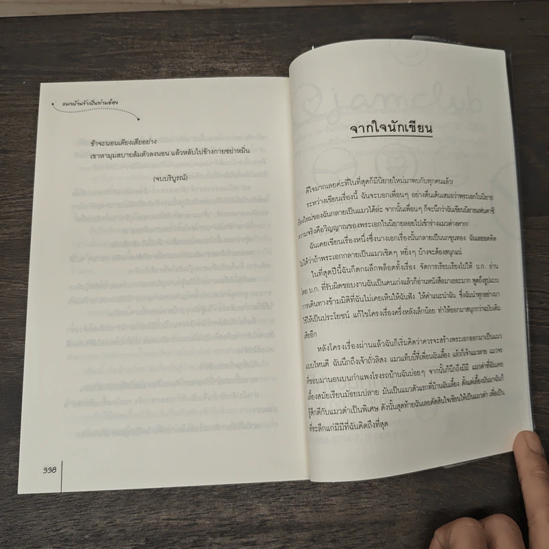 แมวบ้านข้าเป็นของท่านอ๋อง - ถงซิน, พวงหยก รูปที่ 8