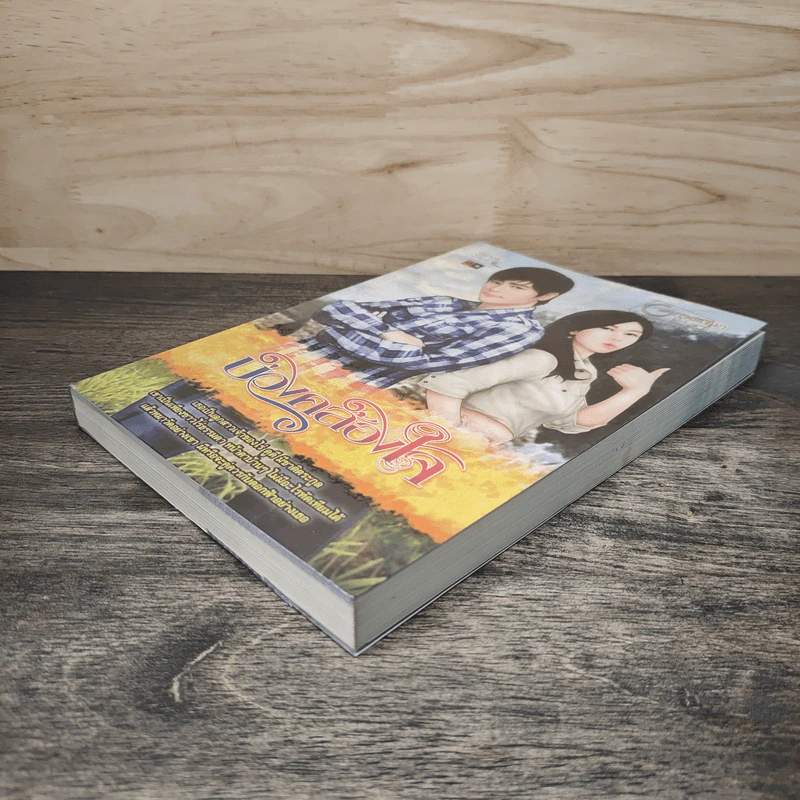 บ่วงคล้องใจ - วาสนา รูปที่ 3