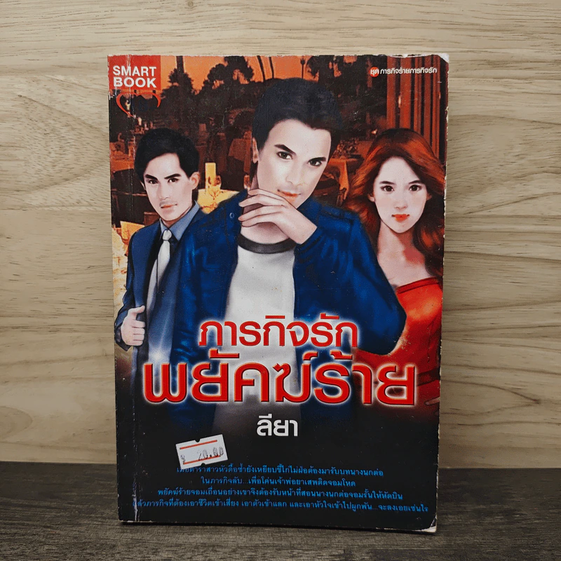 ภารกิจรักพยัคฆ์ร้าย - ลียา รูปที่ 1