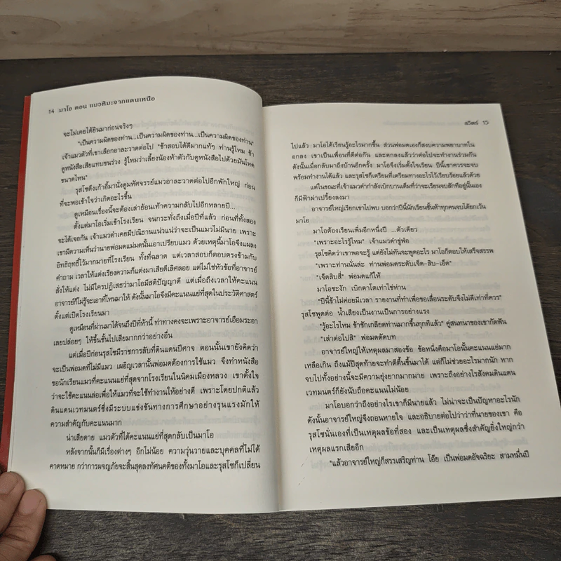 มาโอ ตอน แมวหิมะจากแดนเหนือ - ลวิตร์ รูปที่ 7