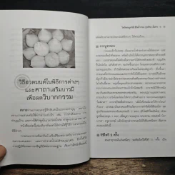 ไหว้พระถูกวิธี ชีวิตร่ำรวย รุ่งเรืองมั่นคง - คูณมาศ วิไลรัตน์ รูปที่ 9