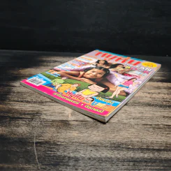 หนูหิ่น The Fan Book รูปที่ 4