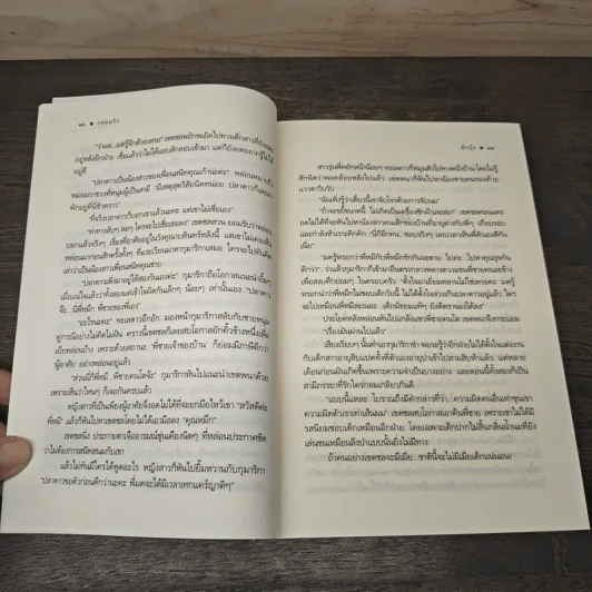 กล่อมรัก - ผักบุ้ง รูปที่ 7