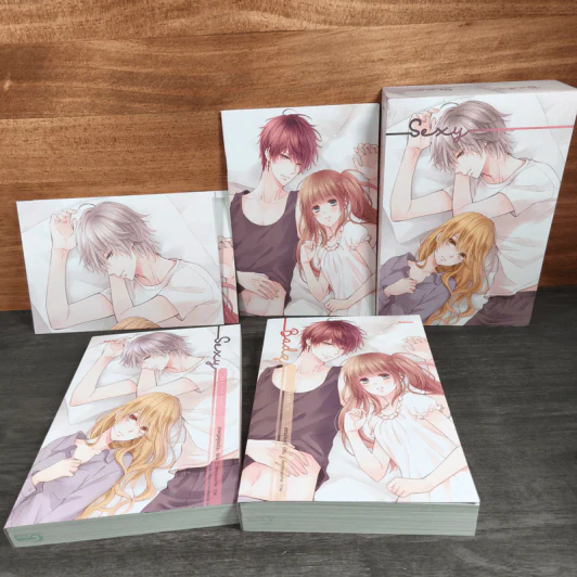 Box Set Boy For Rent (Badz + Sexy) + สมุดโน๊ต + โปสเตอร์ 2 แผ่น - เจ้าหญิงผู้เลอโฉม รูปที่ 2