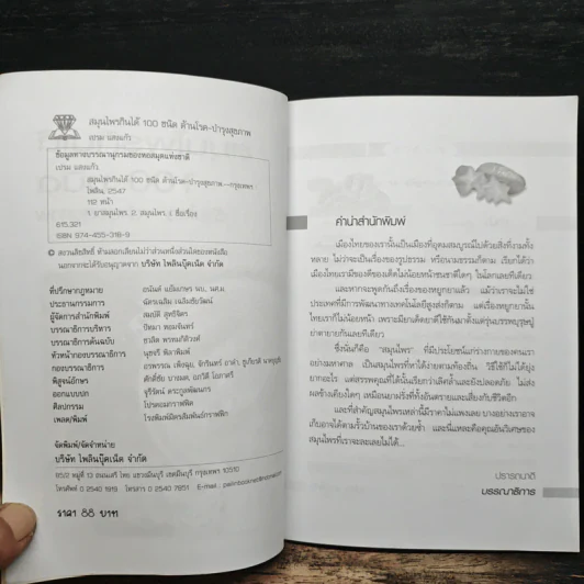 สมุนไพรกินได้ 100 ชนิด - เปรม แสงแก้ว รูปที่ 6