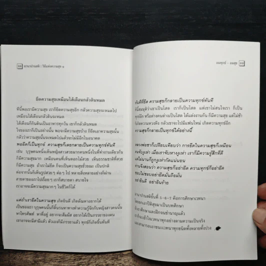 อานาปานสติ : วิถีแห่งความสุข 1 ชีวิตทั้งหมดให้อยู่ด้วยอานาปานสติ - พระอาจารย์มิตซูโอะ คเวสโก รูปที่ 9