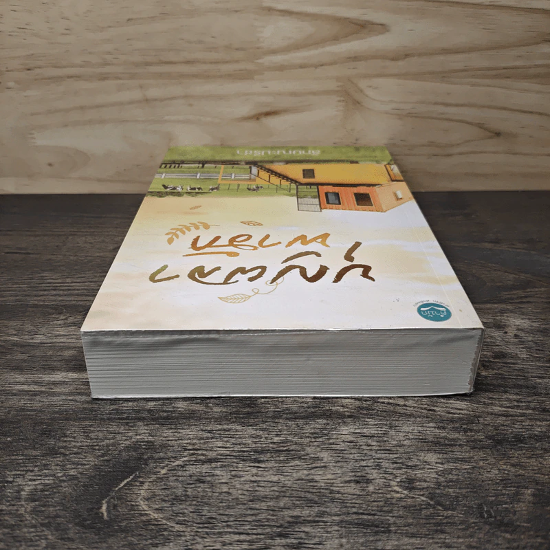 บุญผลาพาฮัก - ลักษณะปรีชา รูปที่ 4