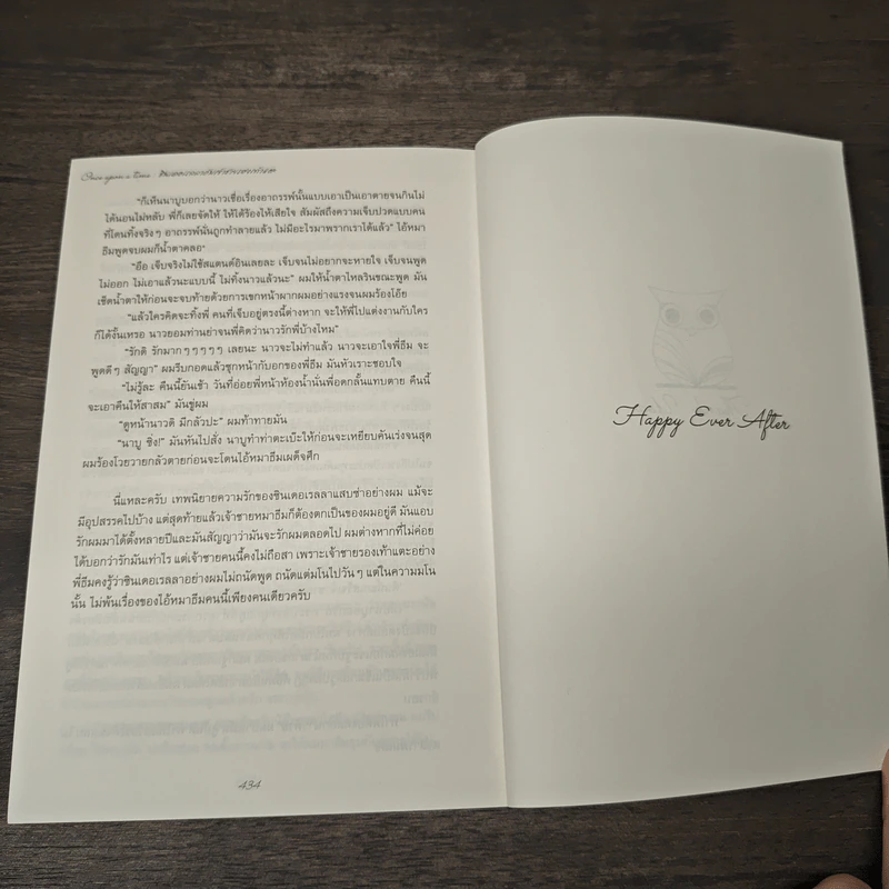 Once upon a time ซินเดอเรลลากับเจ้าชายรองเท้าแตะ - Loverouter รูปที่ 8