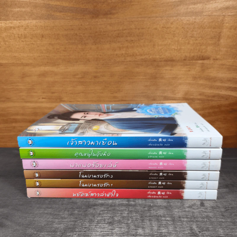 นิยายแจ่มใส Boxset ชุด เรือนพิทักษ์ใจ 6 เล่ม - jamsai รูปที่ 6
