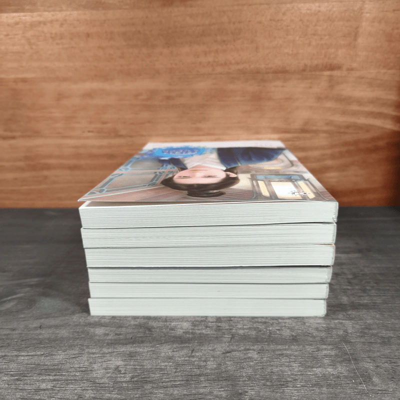 นิยายแจ่มใส Boxset ชุด เรือนพิทักษ์ใจ 6 เล่ม - jamsai รูปที่ 8