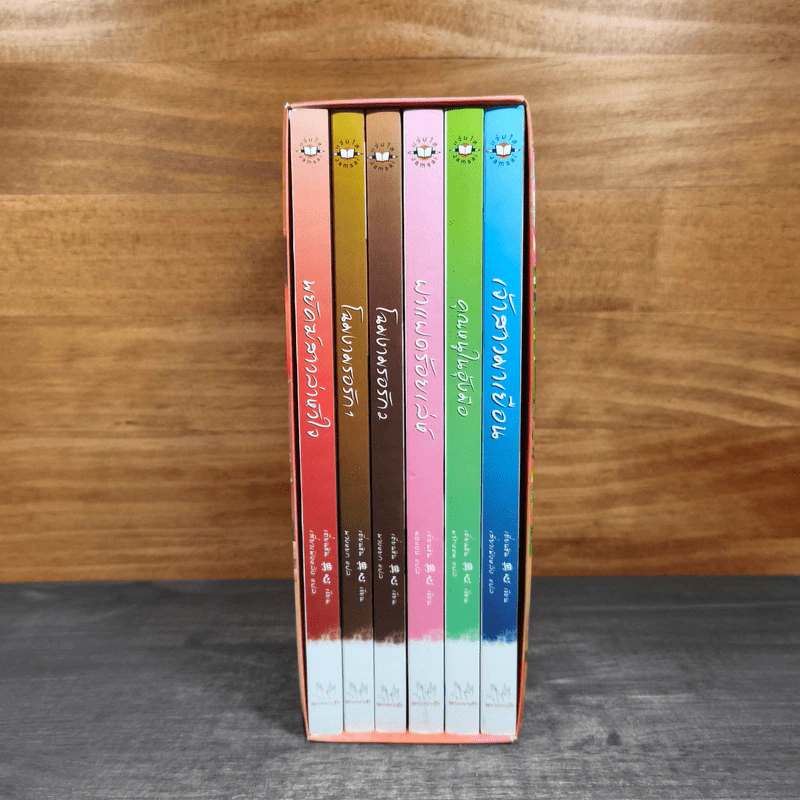 นิยายแจ่มใส Boxset ชุด เรือนพิทักษ์ใจ 6 เล่ม - jamsai รูปที่ 13