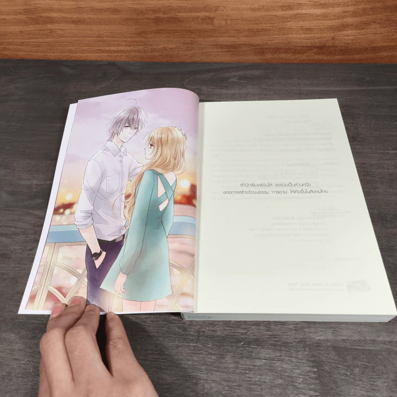 Box Set Boy For Rent (Badz + Sexy) + สมุดโน๊ต + โปสเตอร์ 2 แผ่น - เจ้าหญิงผู้เลอโฉม รูปที่ 12